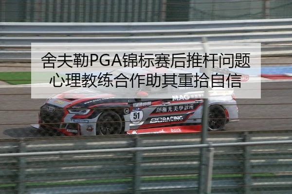 舍夫勒PGA锦标赛后推杆问题 心理教练合作助其重拾自信